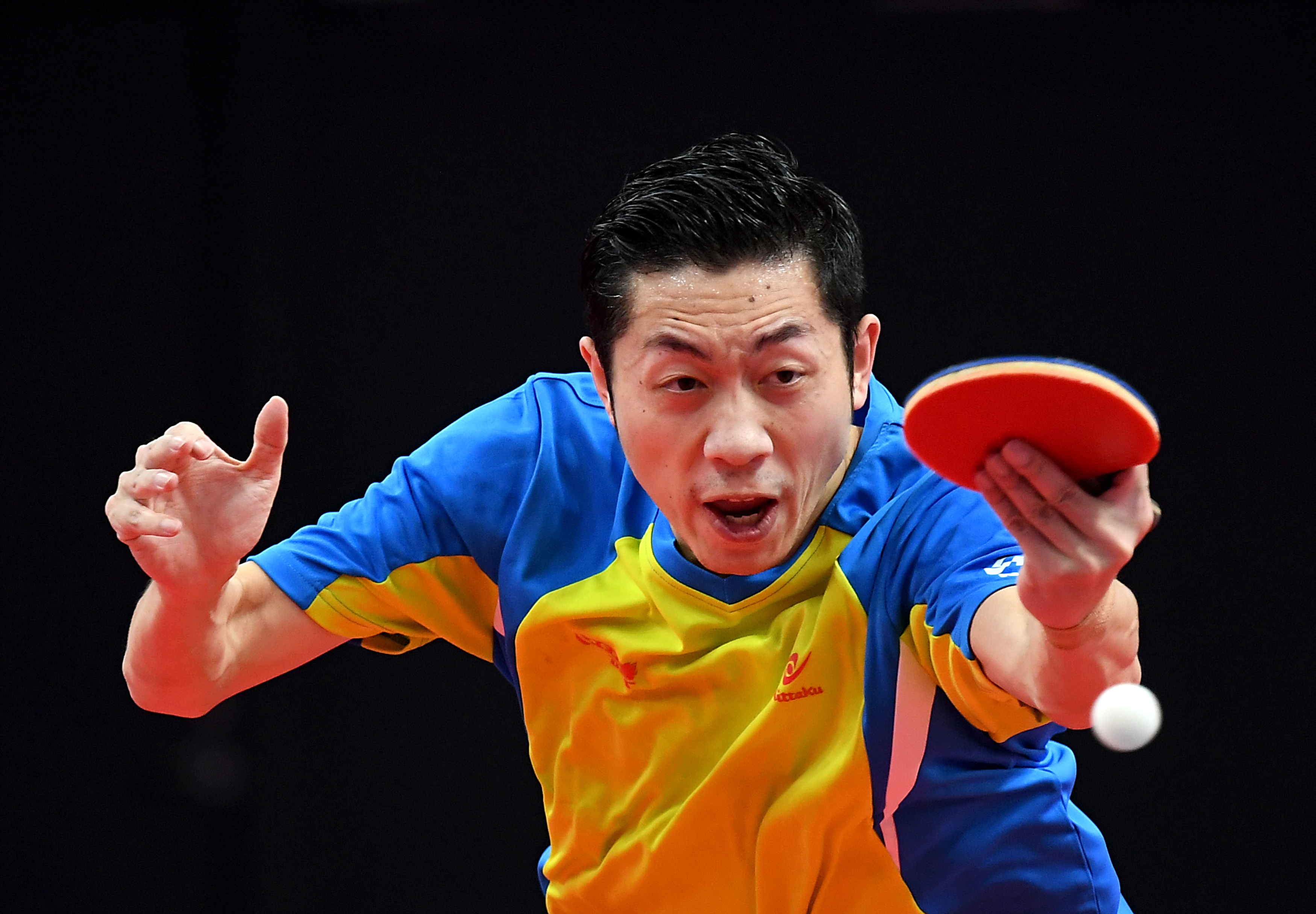 关于波兰乒乓球队力克中国乒乓球队,许昕统治全场的信息 关于波兰乒乓球队力克中国乒乓球队,许昕统治全场的信息