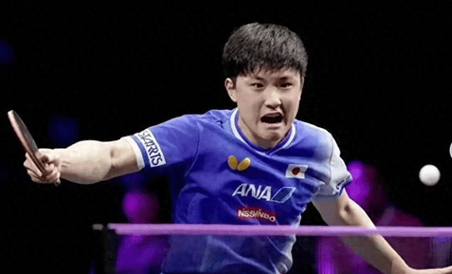 关于瑞典乒乓球队险胜日本乒乓球队，张本智和打破历史纪录的信息