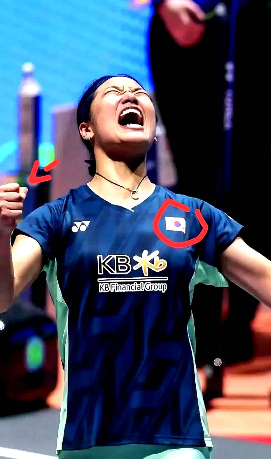 包含韩国羽毛球队翻盘丹麦羽毛球队，陶菲克高光表现的词条