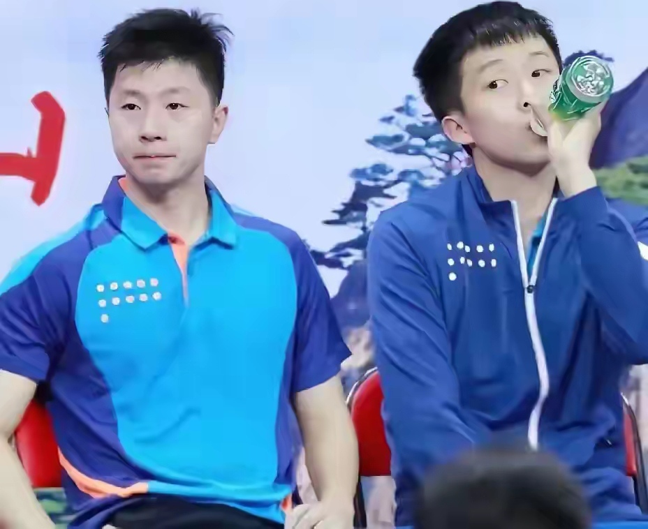 中国乒乓球队绝地反击英国乒乓球队，马龙送出助攻的简单介绍