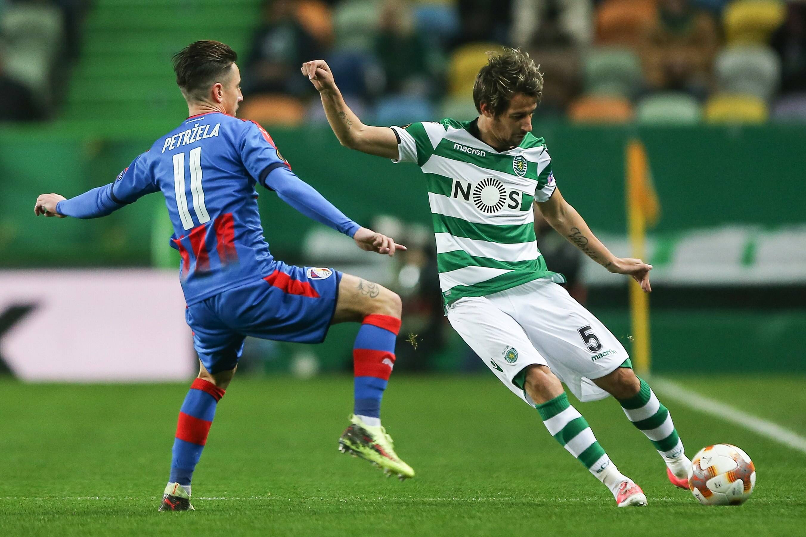 关于霍芬海姆主场逼平对手，保持不败战绩的信息