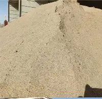 沙尔克04心系胜利，急切找寻突破之路