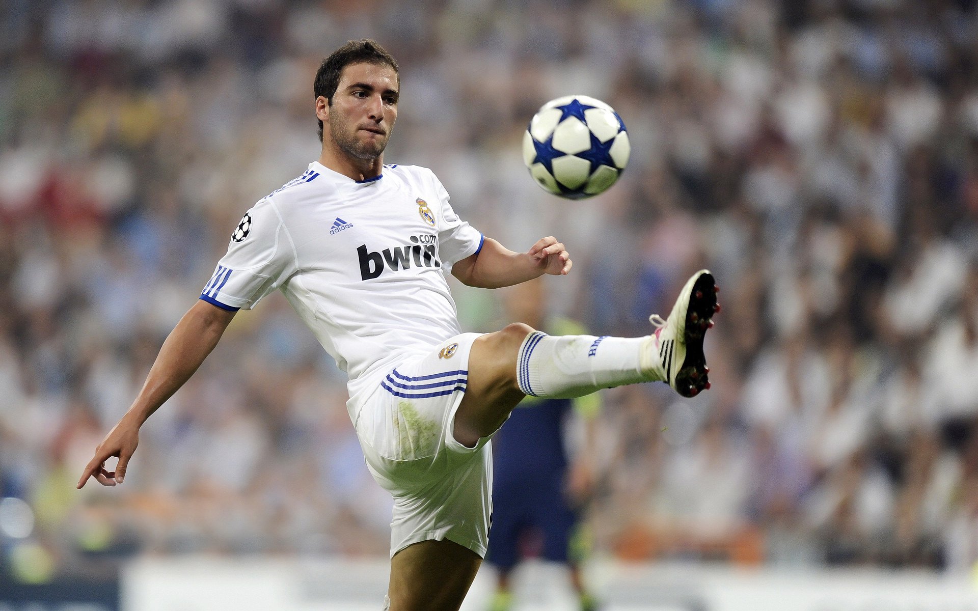 当骑士剑指麦迪逊,戈贝尔铁壁镇欧洲—体育之夜的平行传奇